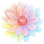 مبانی حکمرانی